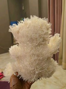 Cute White Teddy Bear