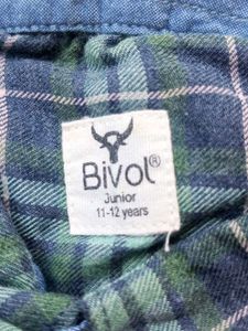Bivol Green Plaid Flannel Shirt