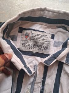 Business Work Crop Tshirt Short Women
