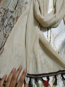 Trendy Stole For Women