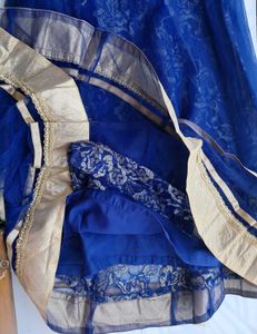 Embroidered Lehenga Choli