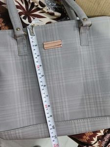 Handbag With Minor Chirpings