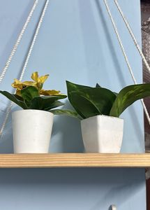 Wooden Macrame Hanging Shelf With Ikea Plants