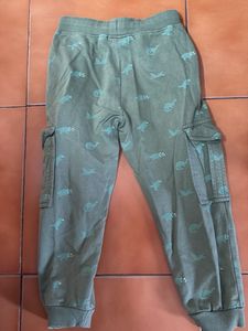Dino Print Cargo Pants/trousers