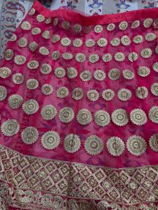 Pink &amp; Gold Embroidered Lehenga Saare