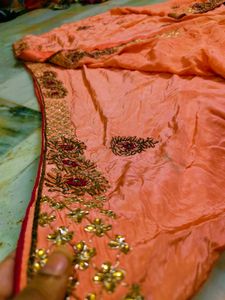 Beutiful Wokh Saree No Blouse Check All Photos