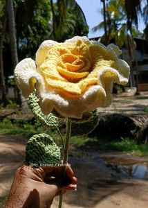 Thai Rose In Yellow