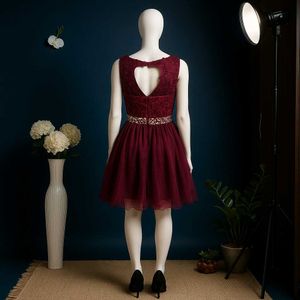 🥀❤️ Maroon Lace Fit &amp; Flare Dress
