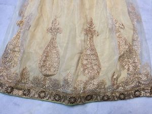 Lehenga Skirt With Jari Work On Net