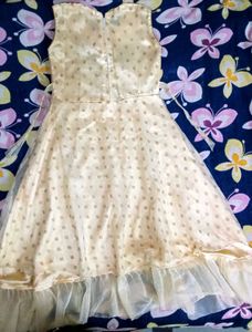 Embroidered Party Dress