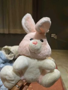 Cute Plush Bunny