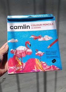 Camel Pencil Colour