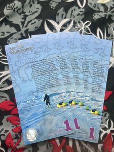 1 Arctic Territory Polar Dollar