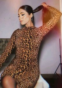 Sheer Cheetah Print Dress