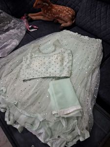Sparkling Lehenga Choli Set Pista Green