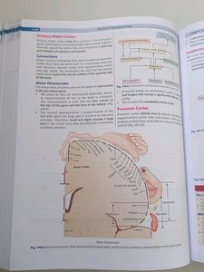 Comprehensive Textbook Of Medical Physiology ( G K Pal 2nd Edition)
