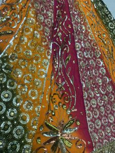 Vintage Beaded lehenga