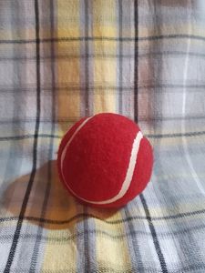 Flash Ball For Cricket