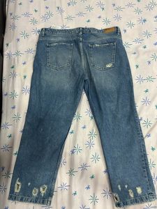 Zara Ripped Denim Jeans With Embroidery