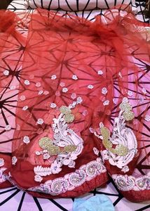 Red Net Saree