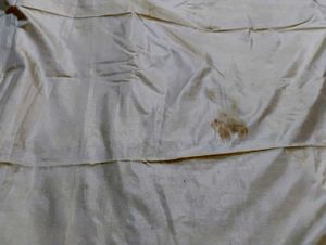 Pure Kanjeevaram Silk Saree Cream Colour.