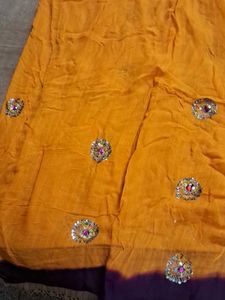 Elegant Embellished Saree