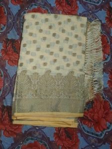 Beautiful Saree