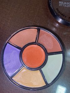 Insight Pro Concealer Palette