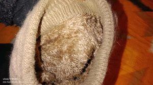Woolen Cap For Women