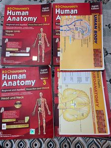 BD CHAURASIA(BDC) Anatomy