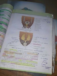 Ncert Class-XI BOOKS