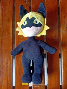 Miraculous Catnoir