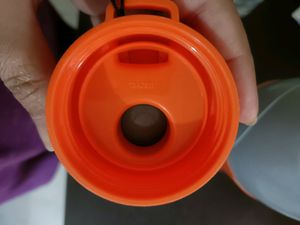 Cello Water Bottle