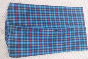 Peter England Blue Check Shirt