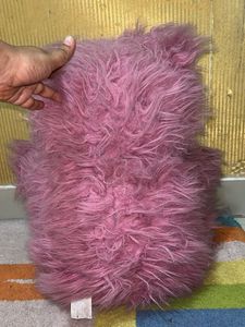 Cute Plush Teddy Bear
