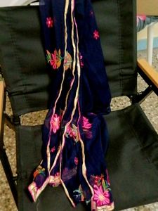 Beautiful Emvroudery Party Wear Duppata Take Away