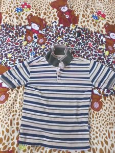 Striped Short Sleeve Polo Shirt