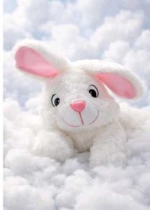 Cute Plush Bunny