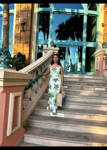 Elegant And Beautiful Dress