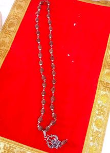 Rudraksha Mala  Bought From Trimbakeshwar Used