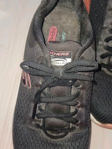 Skechers Shoe