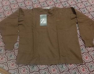 Brown Sweater 👌