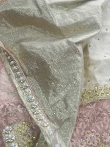 Elegant Embellished Saree