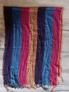 Striped Multicolor Scarf