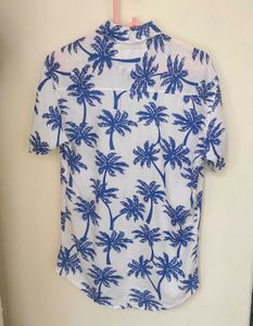Zara Shirt
