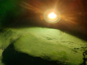 Abstract Green Surface