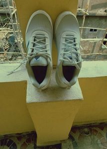 Adidas Shoe