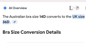 🖤 Black Lace Strapless Bra by FINE LINES 🖤