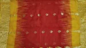 Elegant Red &amp; Gold Sari