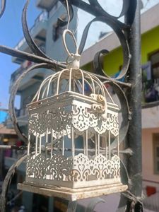 Decorative Bird Cage